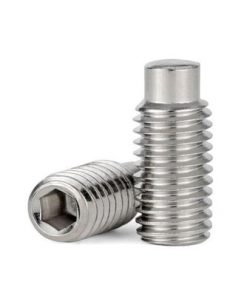 10Pcs M5 x 0.8 x 20mm 304 stainless steel Half Dog Point Socket Set /